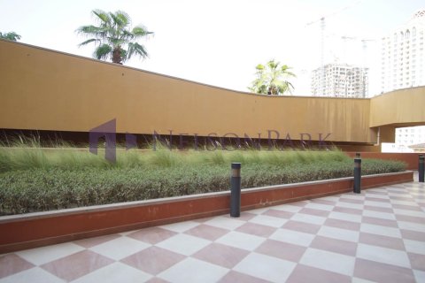 1 bedroom Apartment in Doha, Qatar No. 58014 13