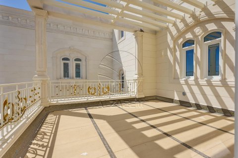 Villa de 10 dormitorios en  Saadiyat Island, UAE No. 91599 5