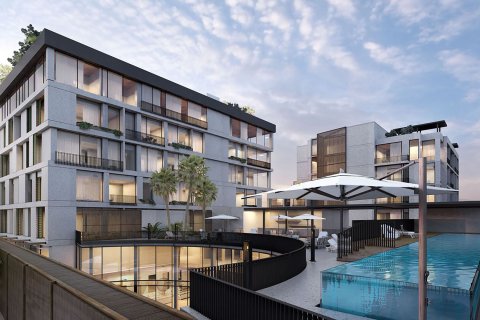 KOA CANVAS No. 69335