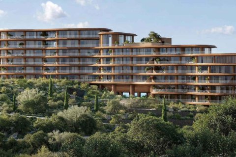 Asora Bay  No. 70538