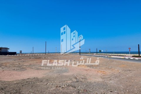 Land de 1193.4m² en Al Mairid, UAE No. 88293 14