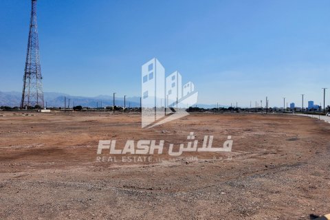 Land de 1193.4m² en Al Mairid, UAE No. 88293 23