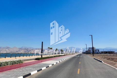 Land de 1193.4m² en Al Mairid, UAE No. 88293 8