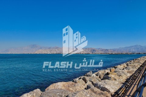 Land de 1193.4m² en Al Mairid, UAE No. 88293 7