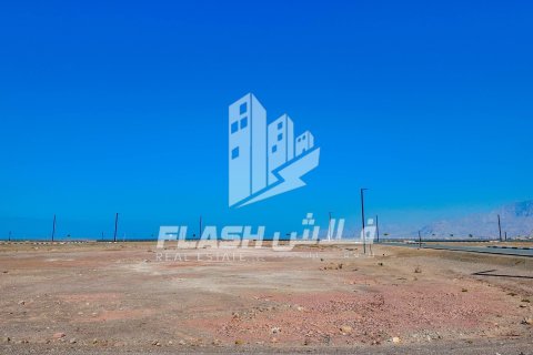 Land de 1193.4m² en Al Mairid, UAE No. 88293 15