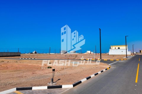 Land de 1193.4m² en Al Mairid, UAE No. 88293 19