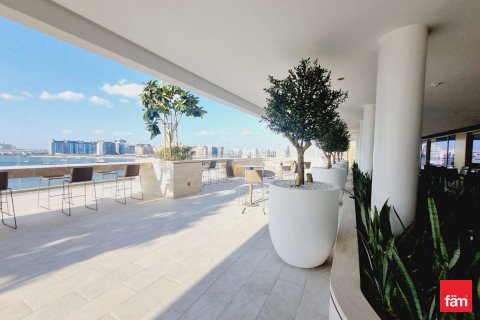 Apartment de 2 dormitorios en Dubai Harbour, UAE No. 101032 10