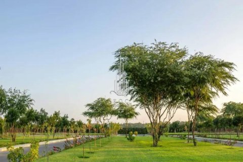 Land de 3519m² en Al Ain, UAE No. 80824 16